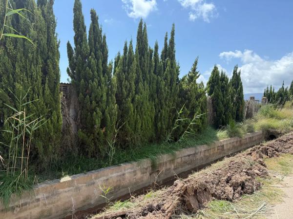 Terreno en camino Terres Noves s/n