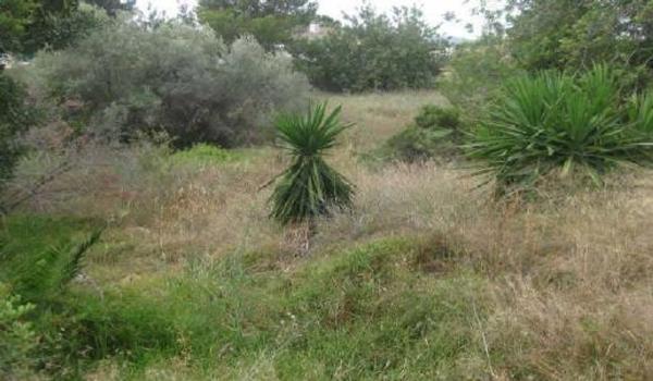 Terreno en Alcala Galiano Prolongacion, 9