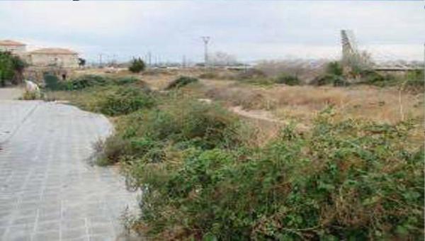 Terreno en calle Rafael Valls