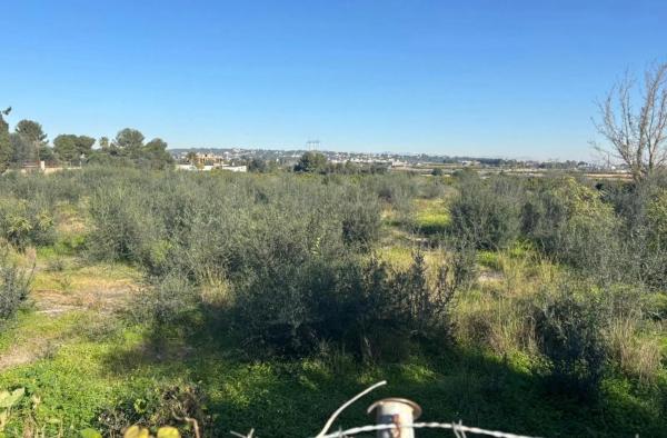 Terreno en C/Magnolia, 10