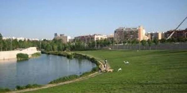 Terreno en La Constitución - Canaleta