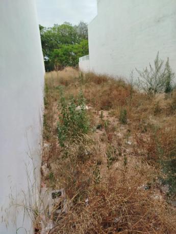 Terreno en avenida de la Albufera