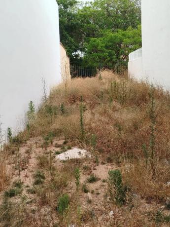 Terreno en avenida de la Albufera