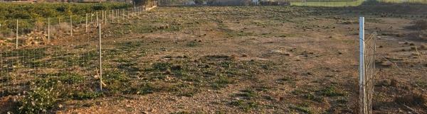 Terreno en calle Riu Serpis s/n