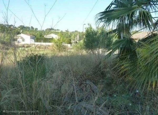 Terreno en calle Barrachina, 14