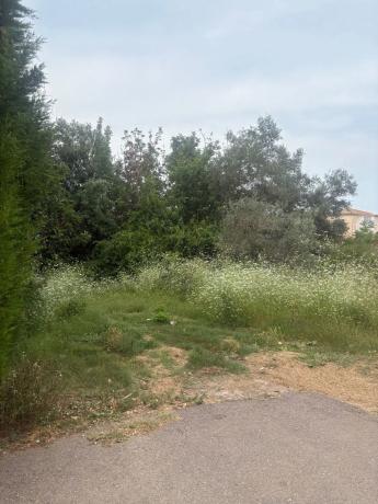 Terreno en Urb. Lloma la Verge. calle Nesper s/n
