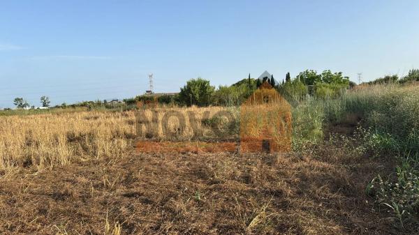 Terreno en plaza Numero 34-dis