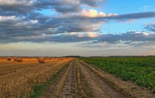 Terreno en Finca de la Clavera, 1