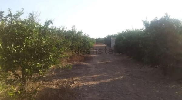 Terreno en Madronyal, 137