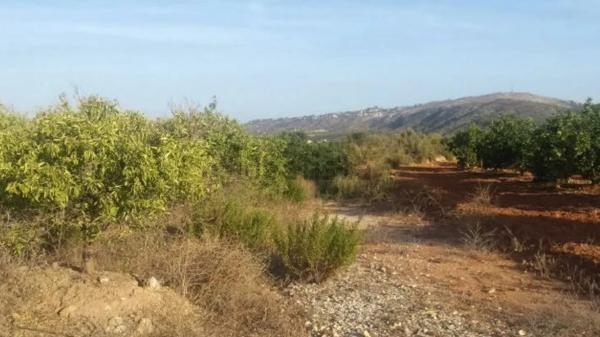 Terreno en Madronyal, 137