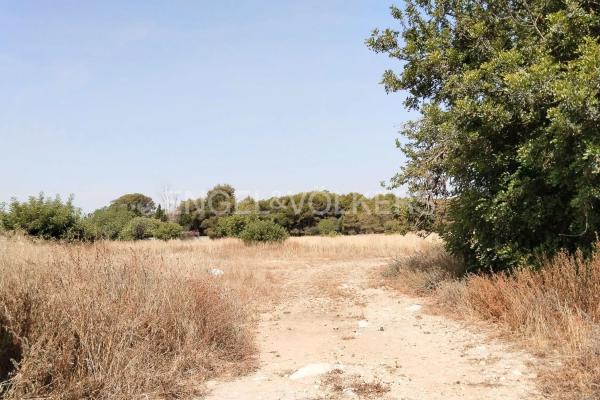 Terreno en La Presa - Collado - La Malla