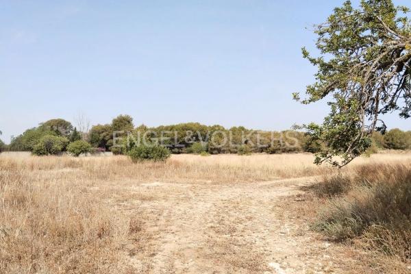 Terreno en La Presa - Collado - La Malla