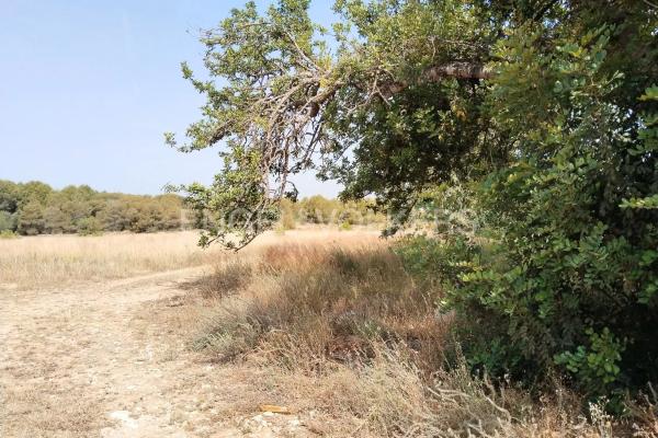 Terreno en La Presa - Collado - La Malla