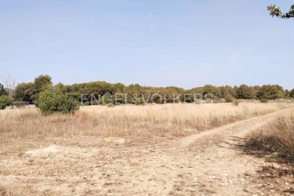 Terreno en La Presa - Collado - La Malla