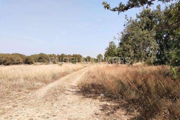 Terreno en La Presa - Collado - La Malla
