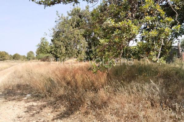 Terreno en La Presa - Collado - La Malla