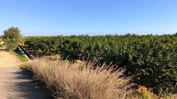 Terreno en Diseminado Poligon 37 s/n