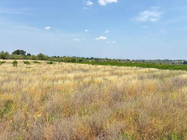 Terreno en camino Fachardet, 49