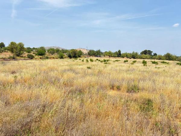 Terreno en camino Fachardet, 49