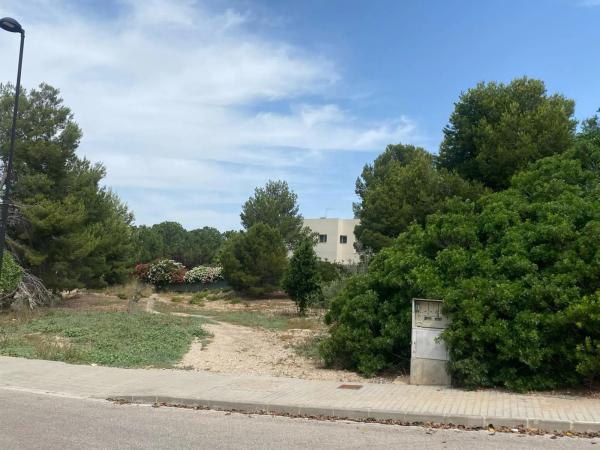 Terreno en Barrio Santa Apolonia