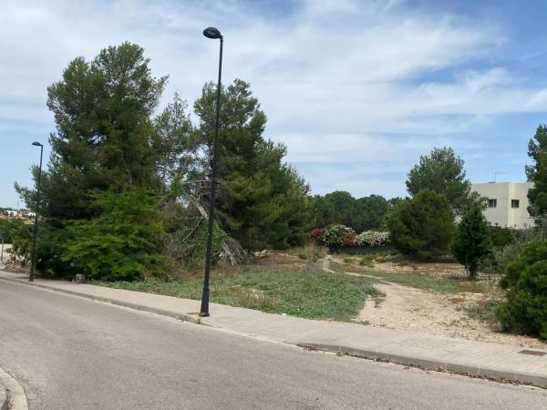 Terreno en Barrio Santa Apolonia