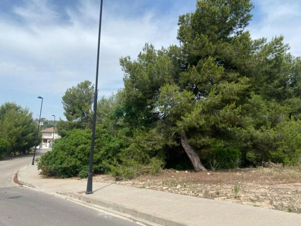 Terreno en Barrio Santa Apolonia