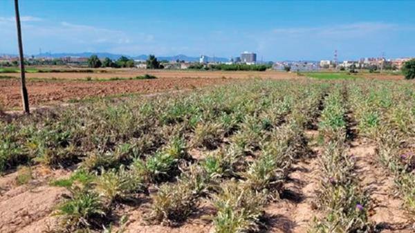 Terreno en Partida Rio