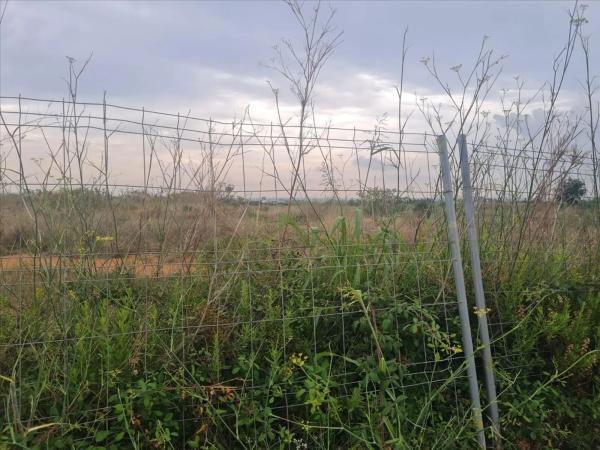 Terreno en via Camino