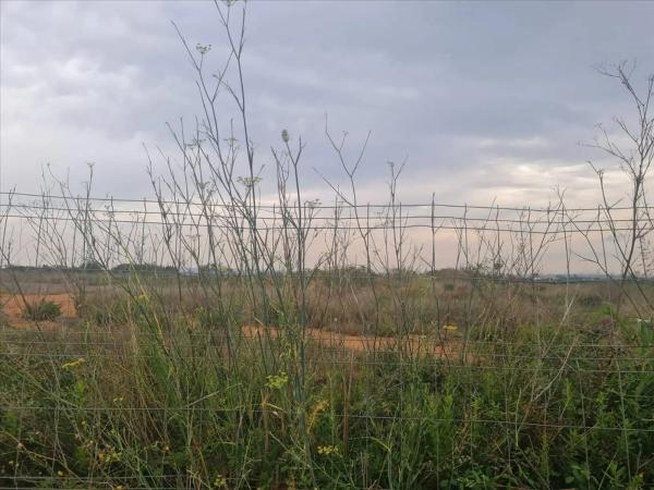 Terreno en via Camino