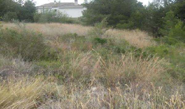 Terreno en calle Alcalá Galiano, 9