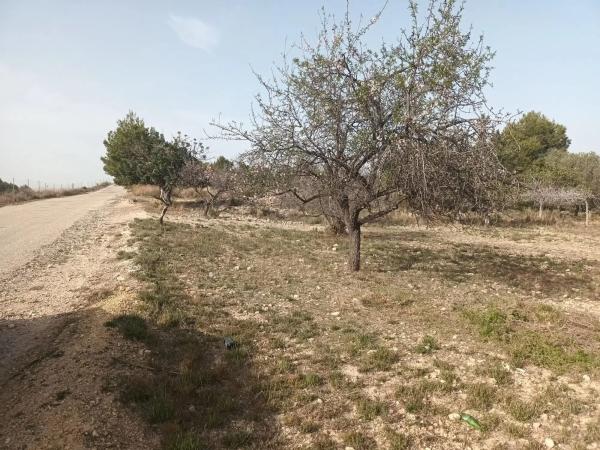 Terreno en carretera Montserrat, 60