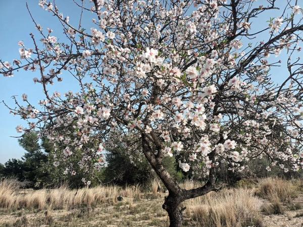Terreno en carretera Montserrat, 60