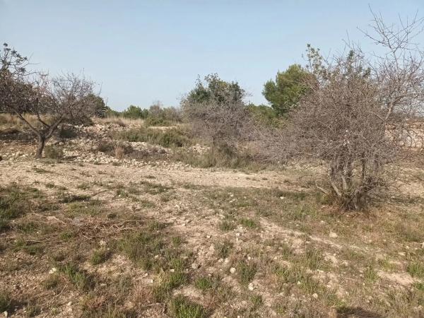 Terreno en carretera Montserrat, 60