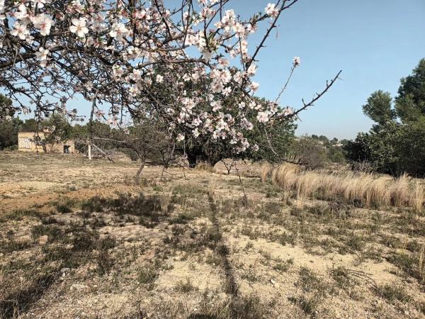 Terreno en carretera Montserrat, 60