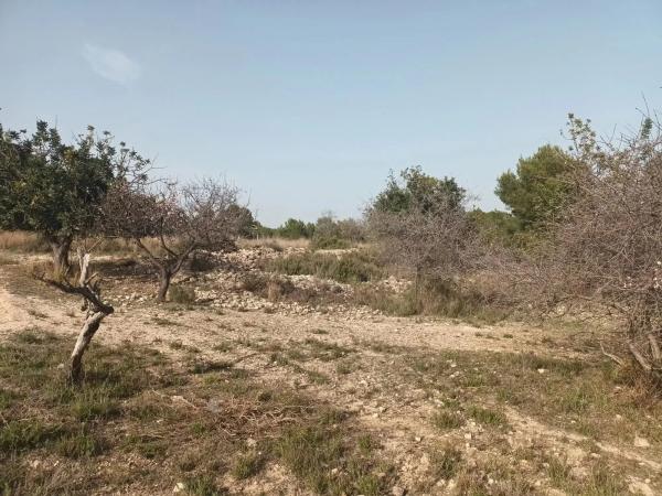 Terreno en carretera Montserrat, 60