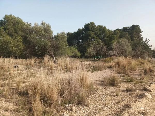 Terreno en carretera Montserrat, 60
