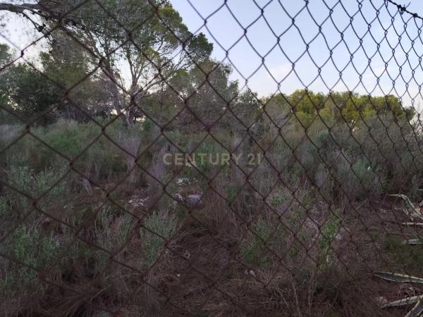 Terreno en calle Vista-Mar, 4