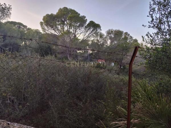 Terreno en calle Vista-Mar, 4