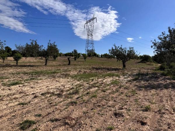 Terreno en calle Número 1, 12