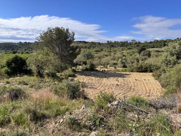 Terreno en calle Número 1, 12