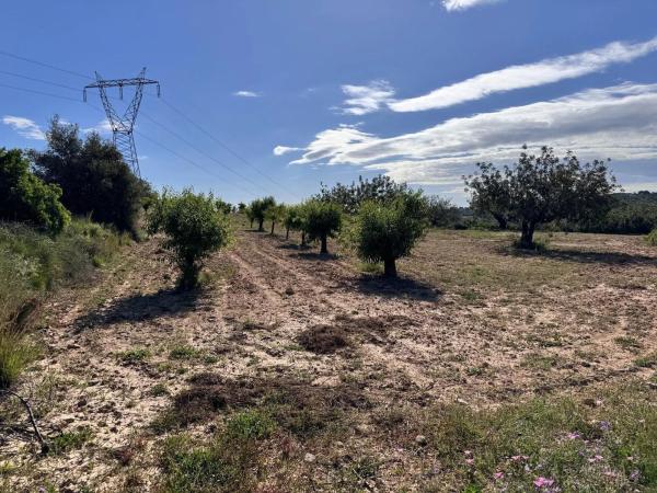 Terreno en calle Número 1, 12