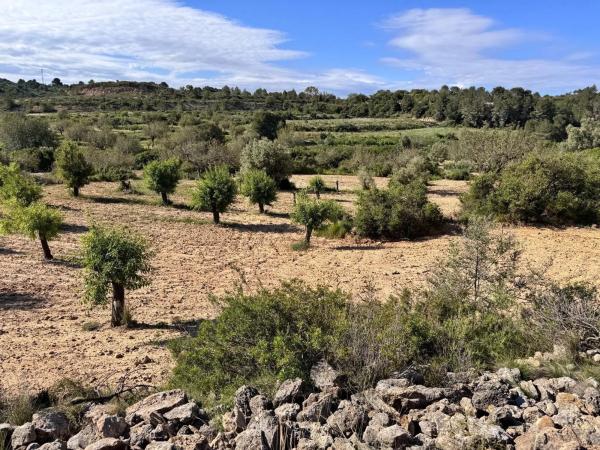 Terreno en calle Número 1, 12
