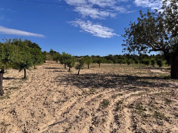 Terreno en calle Número 1, 12
