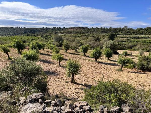 Terreno en calle Número 1, 12