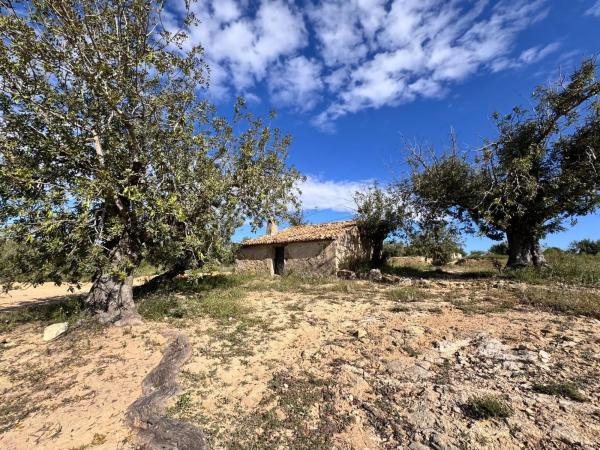 Terreno en calle Número 1, 12