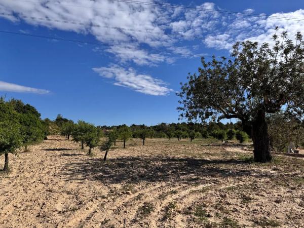 Terreno en calle Número 1, 12