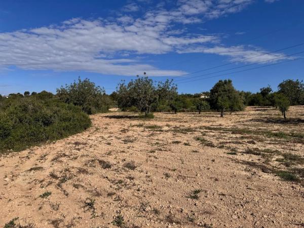 Terreno en calle Número 1, 12