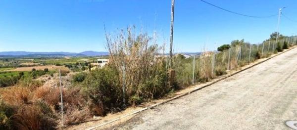 Terreno en Zona Avenida al Vedat