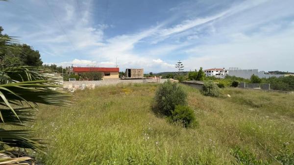 Terreno en calle Estanislao Alberola