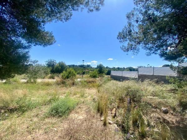 Terreno en calle de Ricardo Cervera Chuliá